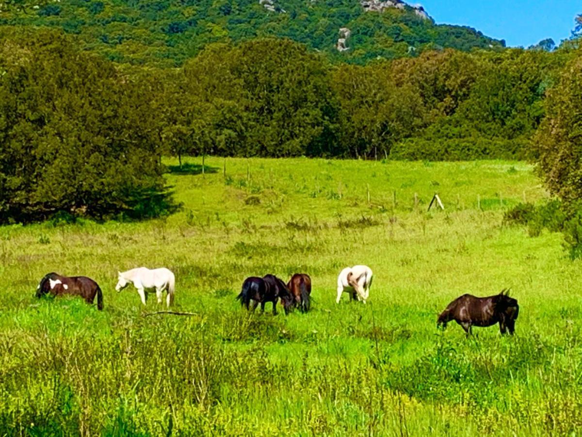 L'Aravone Lodge Sartene  Bagian luar foto
