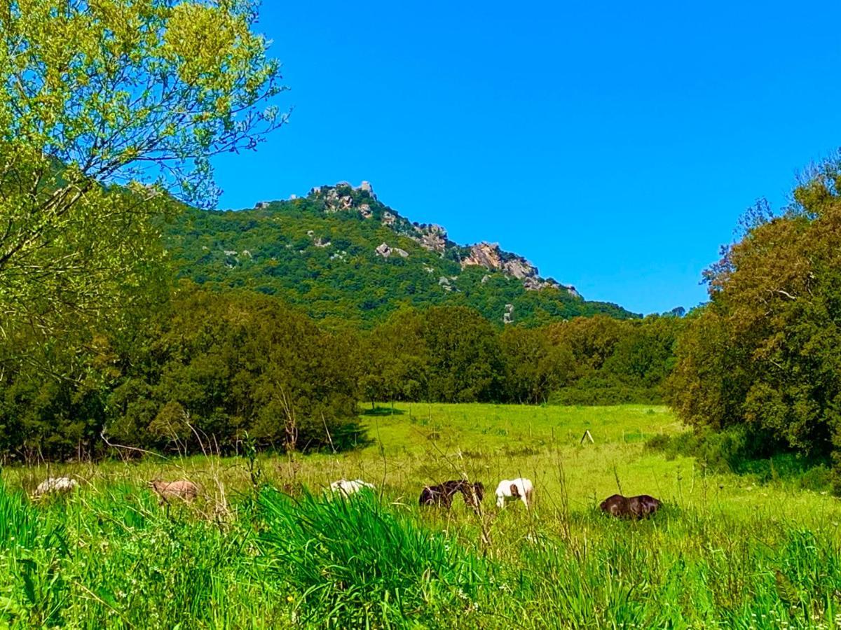 L'Aravone Lodge Sartene  Bagian luar foto