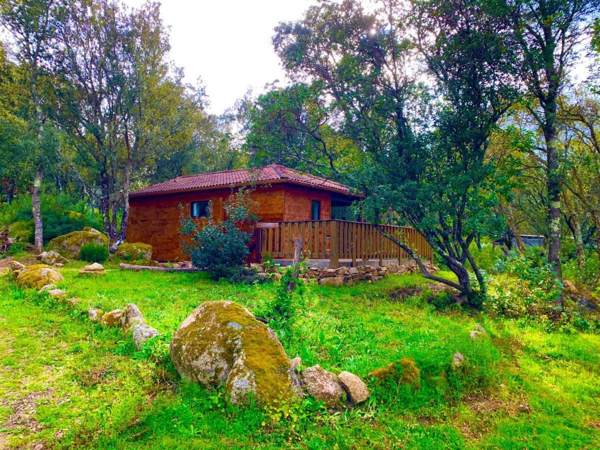 L'Aravone Lodge Sartene  Bagian luar foto